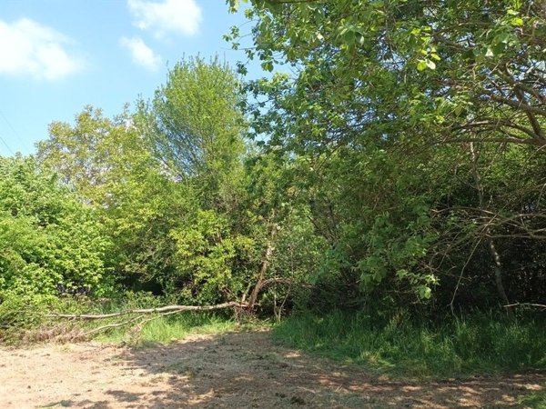 terreno edificabile in vendita a Vicoforte