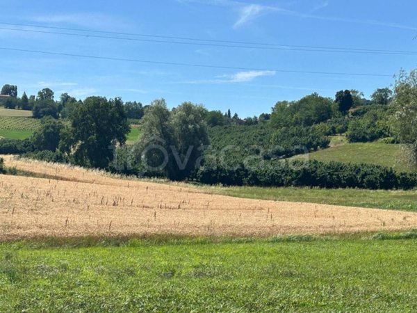 terreno agricolo in vendita a Vicoforte in zona Santuario