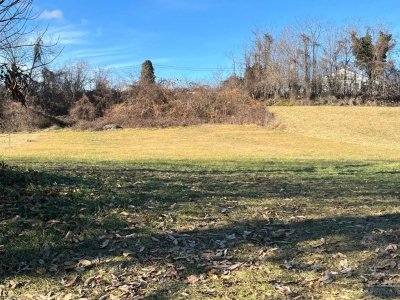 terreno agricolo in vendita a Vignolo
