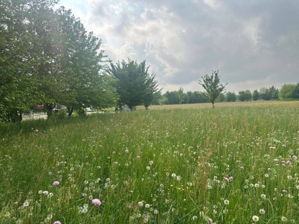 casa indipendente in vendita a Vignolo
