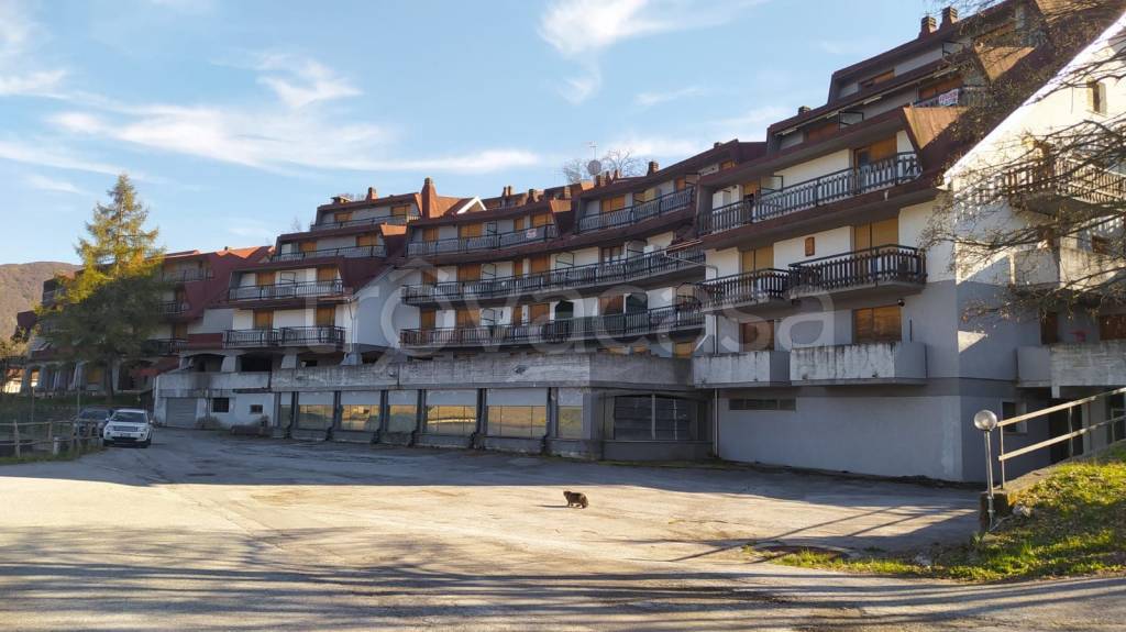 appartamento in vendita a Viola