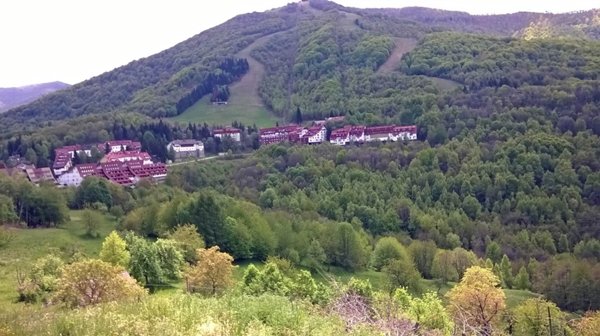 appartamento in vendita a Viola