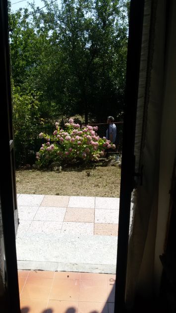 appartamento in vendita a Viola