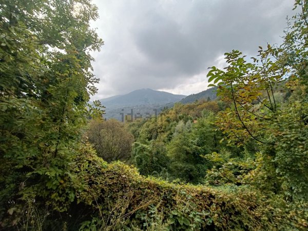 casa indipendente in vendita a Viola