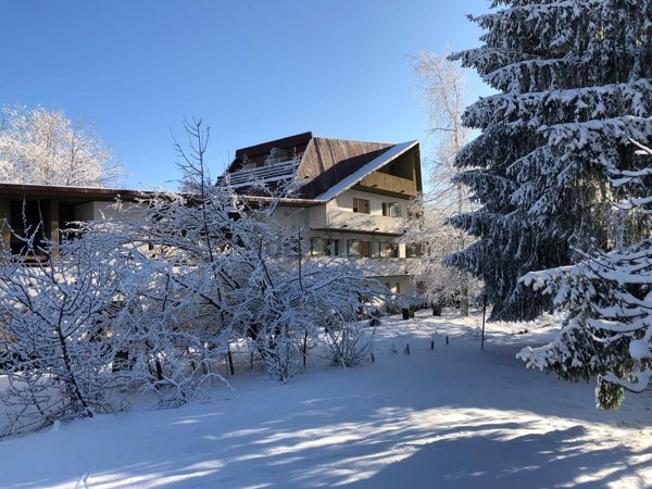 appartamento in vendita a Viola