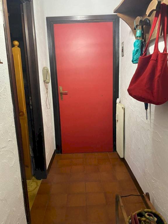 appartamento in vendita a Viola