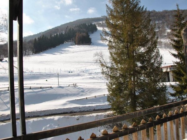 appartamento in vendita a Viola