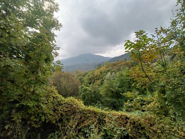 casa indipendente in vendita a Viola