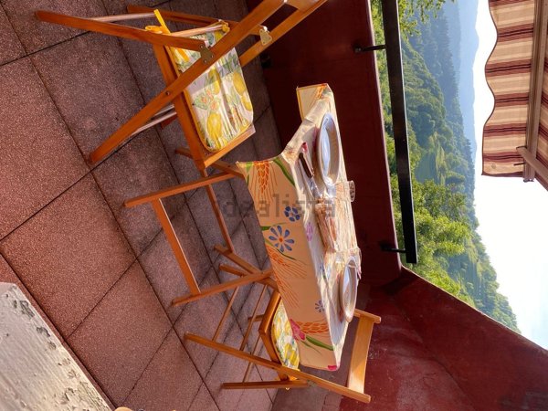 appartamento in vendita a Viola