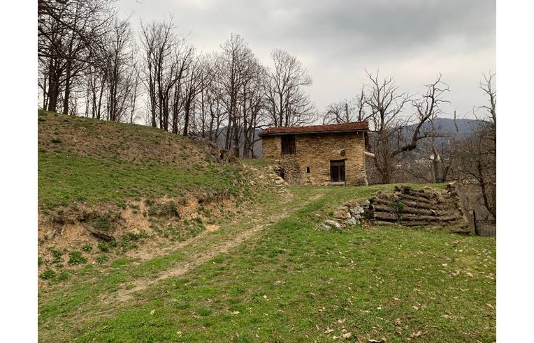 casa indipendente in vendita a Viola