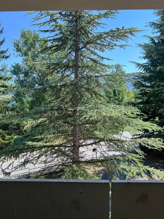 appartamento in vendita a Viola