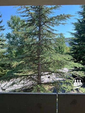 appartamento in vendita a Viola