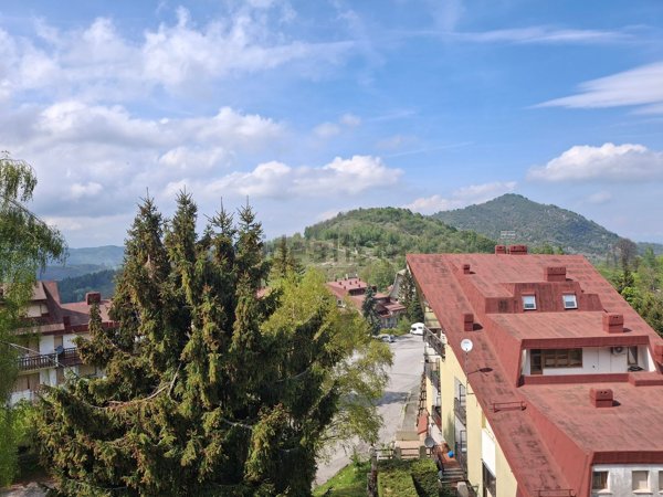 appartamento in vendita a Viola