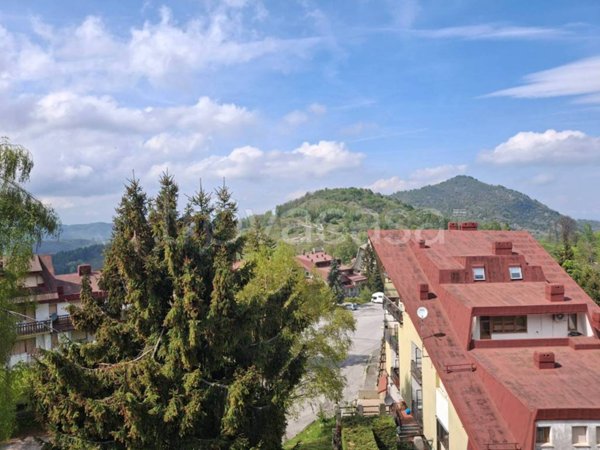 appartamento in vendita a Viola