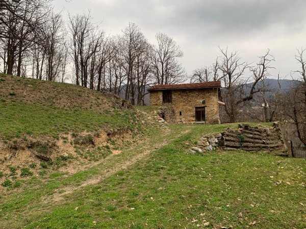 casa indipendente in vendita a Viola