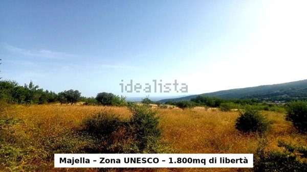 terreno agricolo in vendita ad Abbateggio
