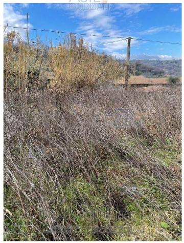 terreno agricolo in vendita ad Abbateggio
