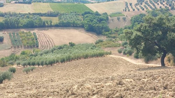 villa in vendita ad Abbateggio