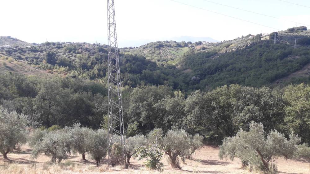 terreno agricolo in vendita ad Abbateggio
