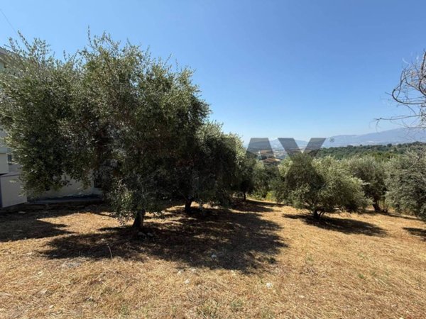 negozio in vendita ad Abbateggio