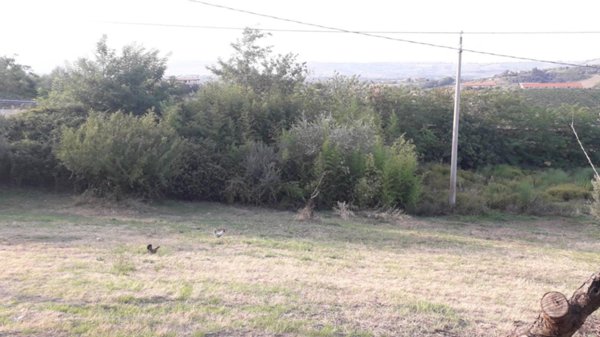 terreno edificabile in vendita ad Alanno