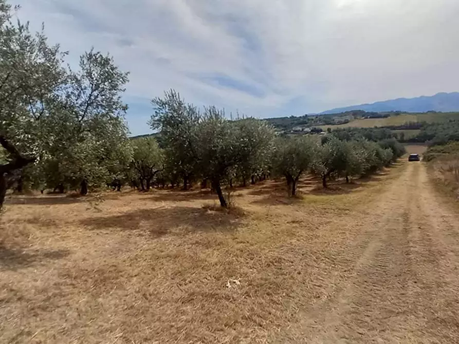 terreno edificabile in vendita ad Alanno
