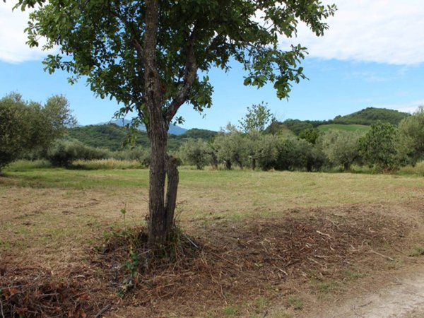 terreno edificabile in vendita ad Alanno
