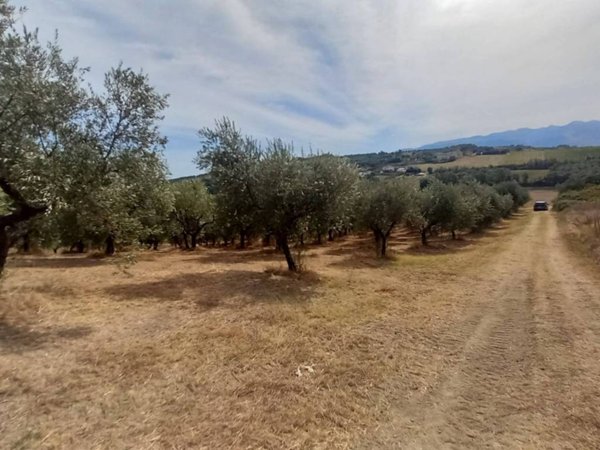terreno edificabile in vendita ad Alanno