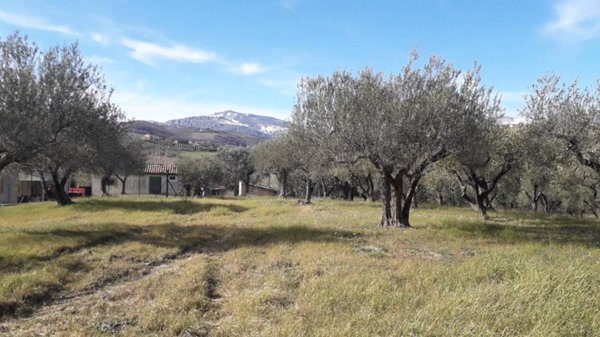 terreno edificabile in vendita ad Alanno