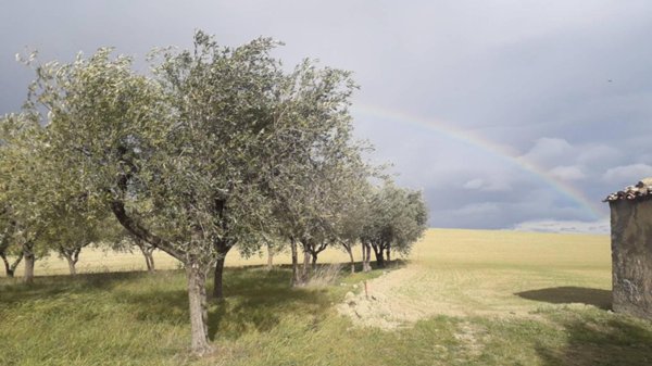 terreno edificabile in vendita ad Alanno