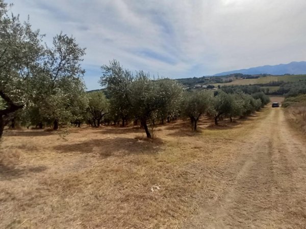 terreno agricolo in vendita ad Alanno