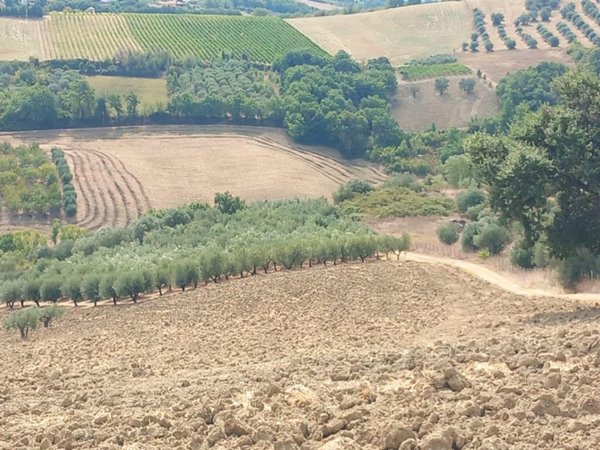 terreno edificabile in vendita ad Alanno