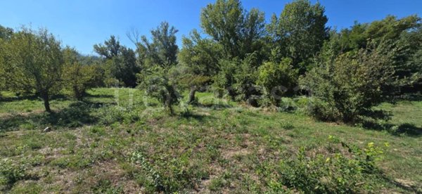 negozio in vendita ad Alanno