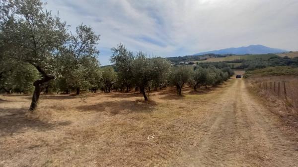 terreno edificabile in vendita ad Alanno