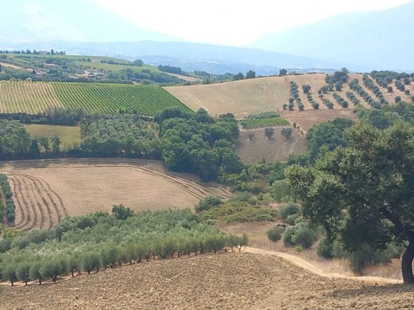 terreno edificabile in vendita ad Alanno