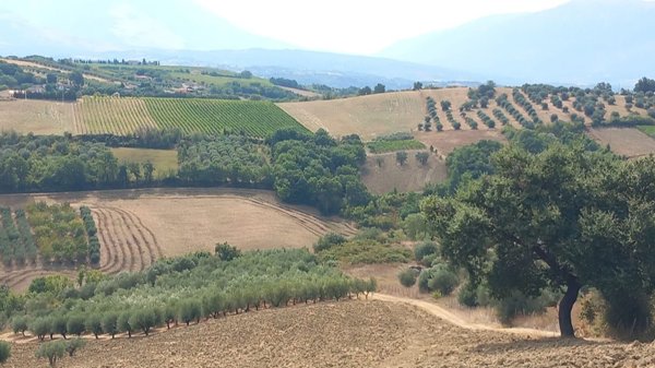 terreno edificabile in vendita ad Alanno