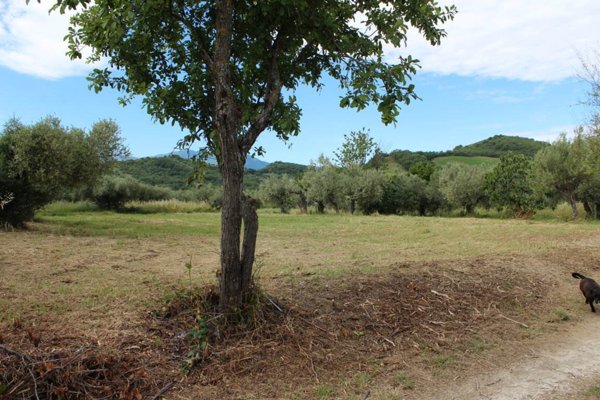 terreno edificabile in vendita ad Alanno