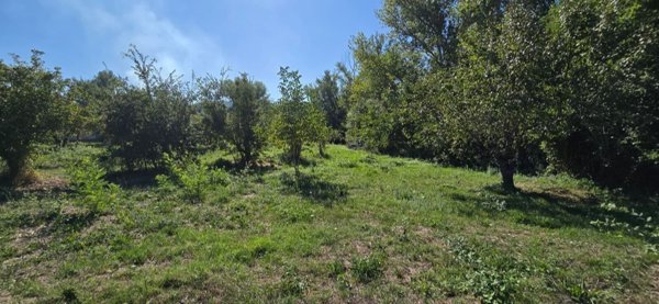 casa indipendente in vendita ad Alanno