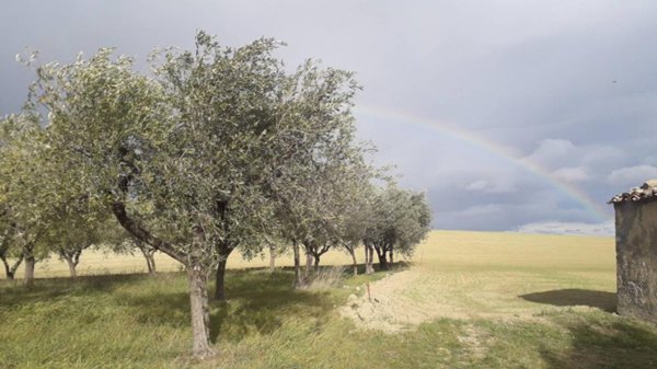 terreno edificabile in vendita ad Alanno