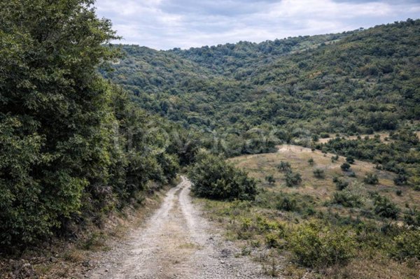 terreno agricolo in vendita a Brittoli