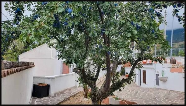 casa indipendente in vendita a Brittoli