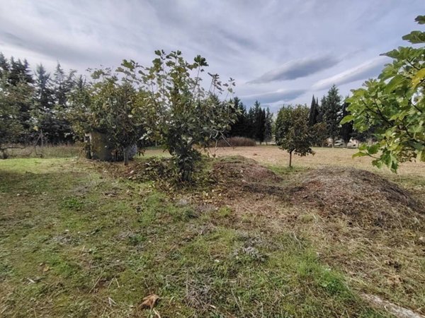 terreno agricolo in vendita a Brittoli