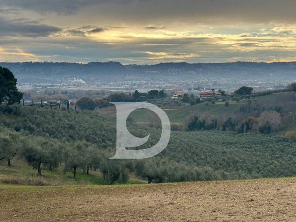 terreno agricolo in vendita a Brittoli