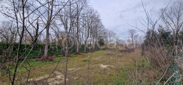 terreno agricolo in vendita a Cappelle sul Tavo