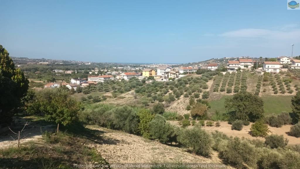 terreno agricolo in vendita a Cappelle sul Tavo