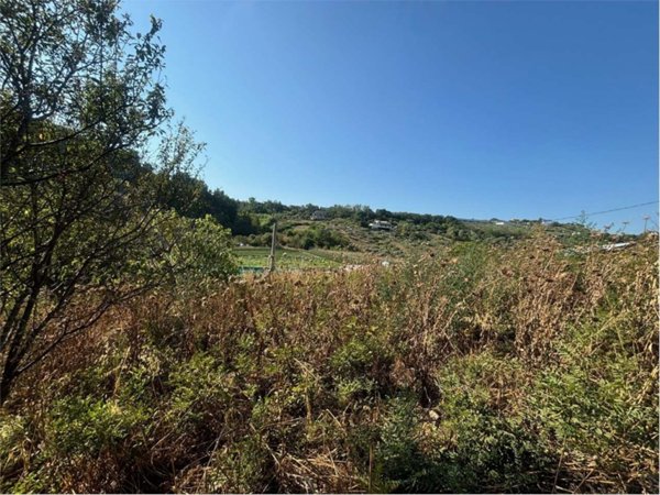 terreno edificabile in vendita a Cappelle sul Tavo