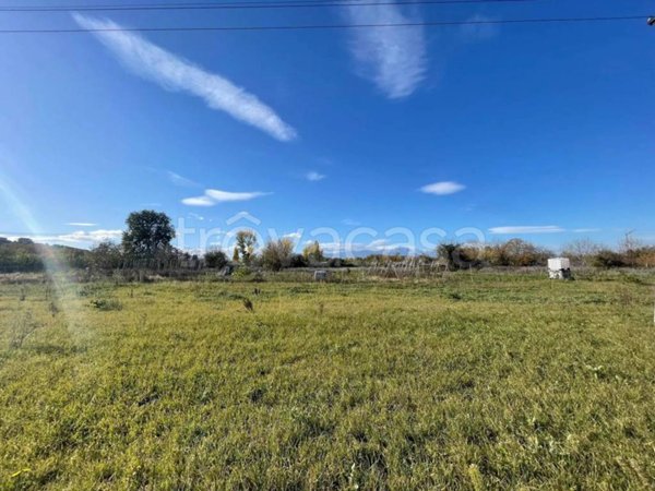 terreno agricolo in vendita a Cappelle sul Tavo