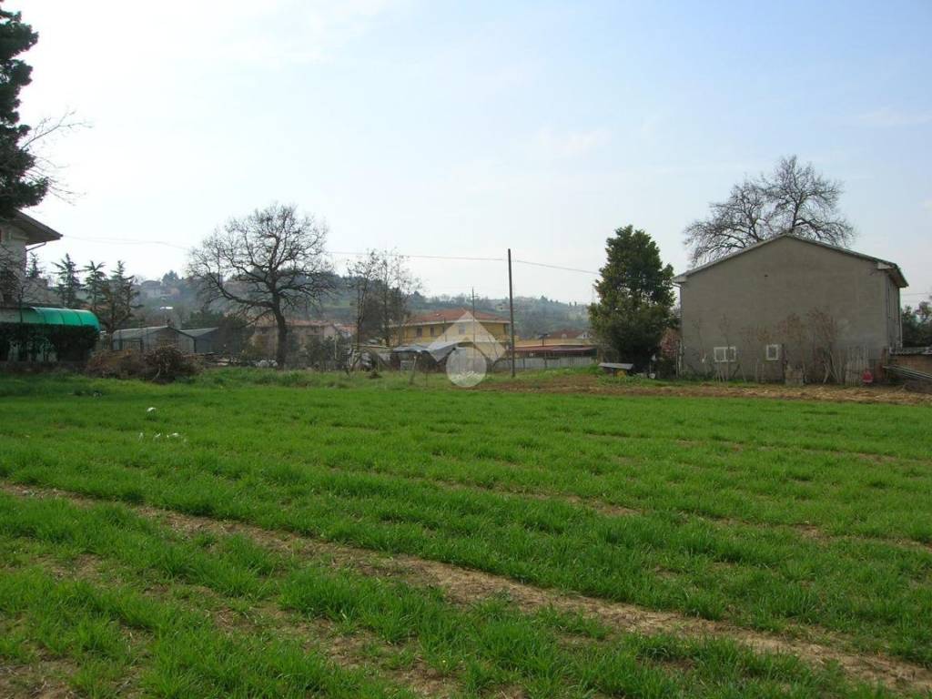 terreno agricolo in vendita a Cappelle sul Tavo