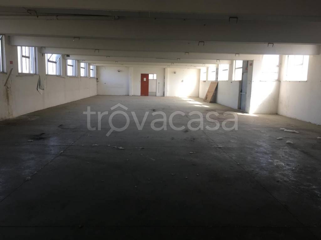 capannone in vendita a Cappelle sul Tavo