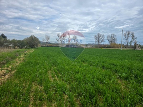 terreno agricolo in vendita a Cappelle sul Tavo